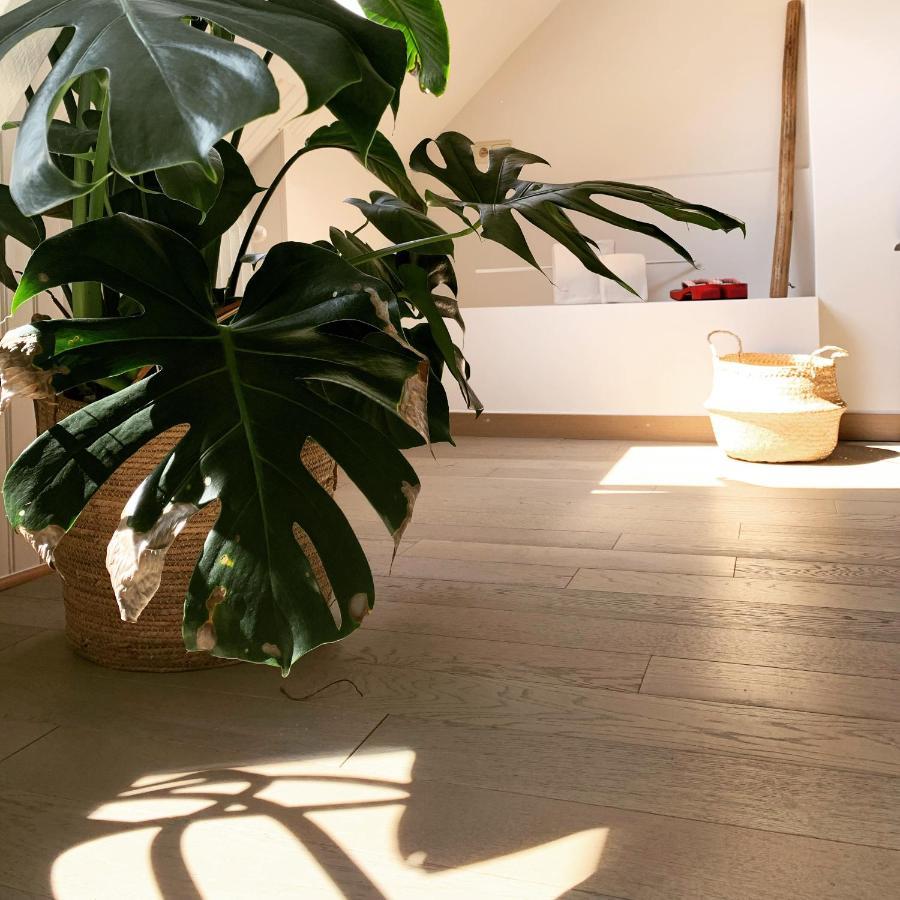 Maison D'Artiste ヘント エクステリア 写真